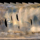 Global map of Mars showing the growing dust storm on June 6, 2018. The blue dot shows the approximate location of Opportunity.